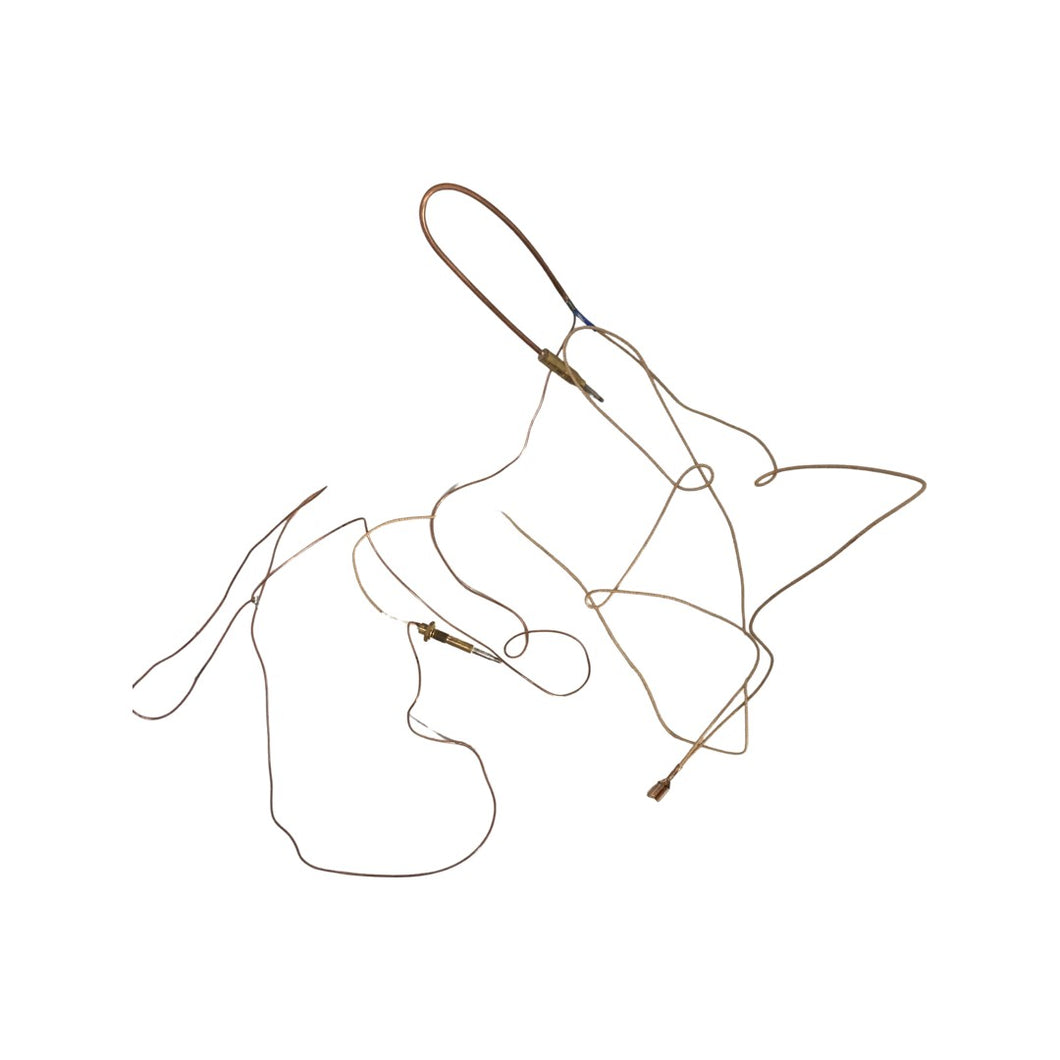 Thermocouple - Cooker - ZV-37023206